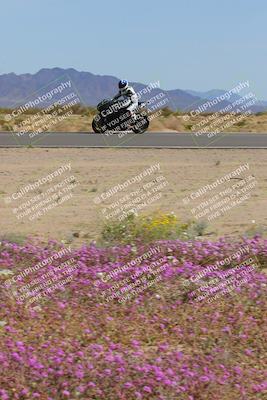 media/Mar-12-2023-SoCal Trackdays (Sun) [[d4c8249724]]/Turn 15 Inside Bloom (130pm)/